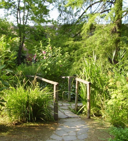giardino botanico lucca