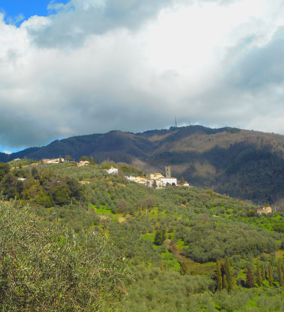 3 Lucca hills c