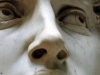 david